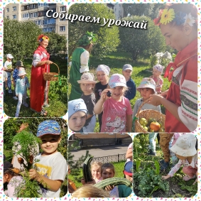 2024-2025 учебный год_3